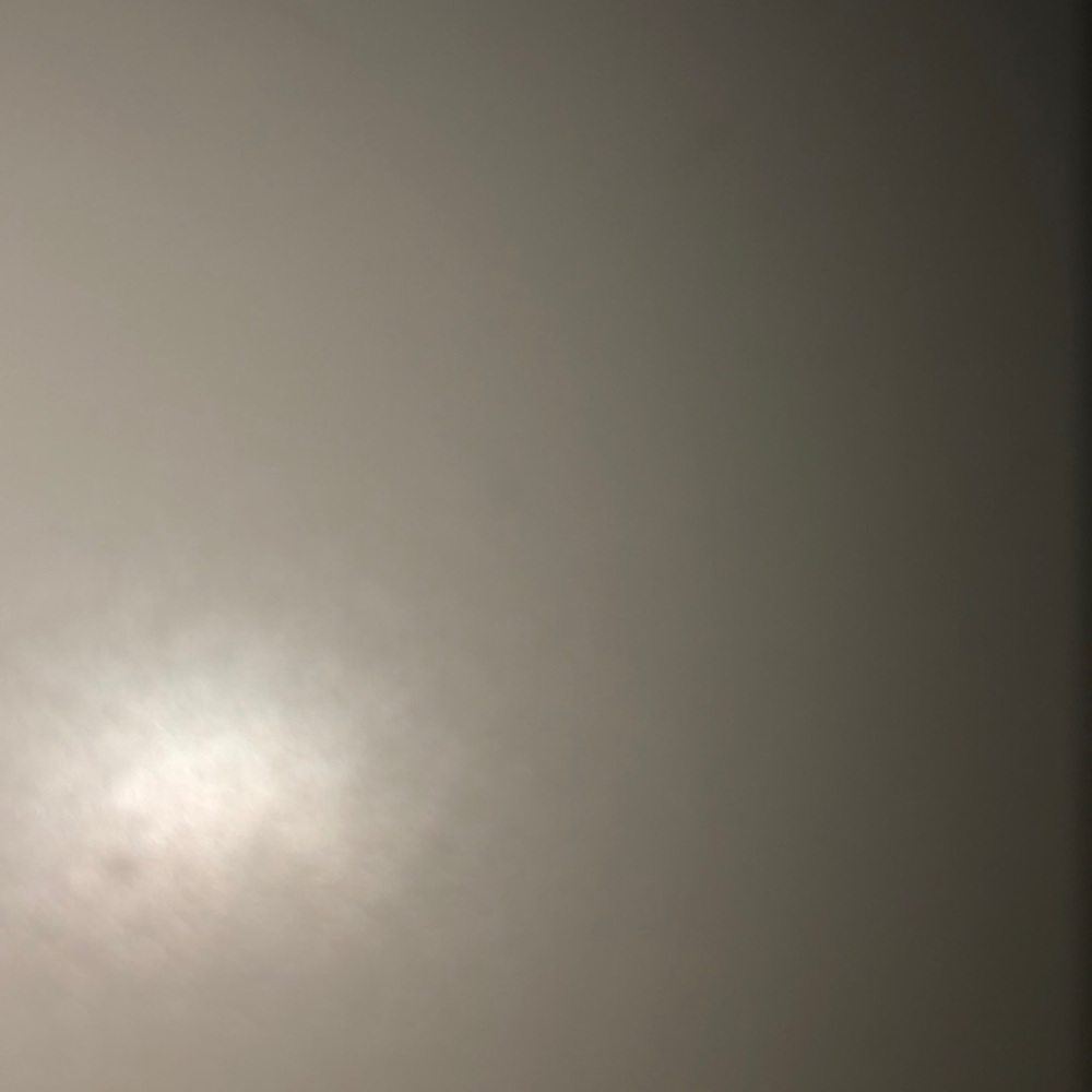 Meet your Posher, Daniela